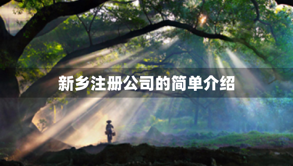新鄉(xiāng)注冊公司的簡單介紹