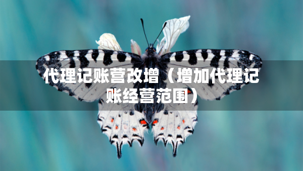 代理記賬營改增（增加代理記賬經營范圍）