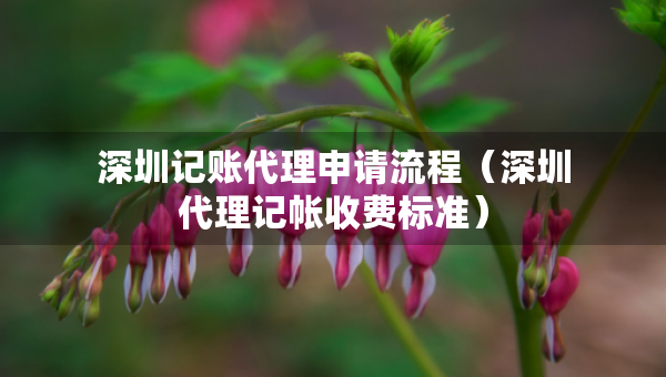 深圳記賬代理申請流程（深圳代理記帳收費(fèi)標(biāo)準(zhǔn)）