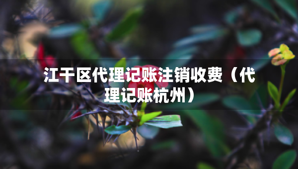 江干區(qū)代理記賬注銷收費（代理記賬杭州）