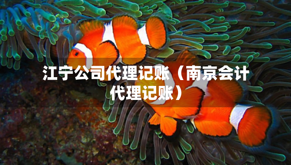 江寧公司代理記賬（南京會計代理記賬）