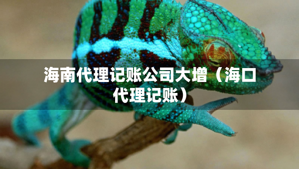 海南代理記賬公司大增（?？诖碛涃~）