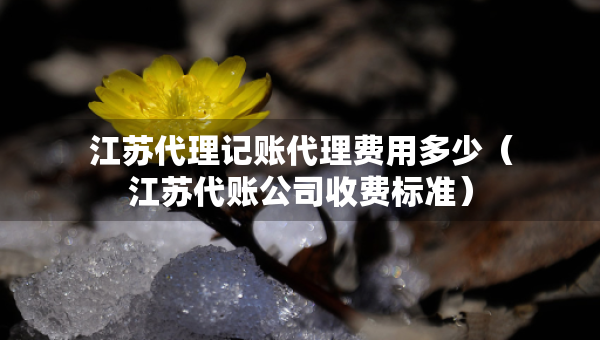 江蘇代理記賬代理費用多少（江蘇代賬公司收費標準）