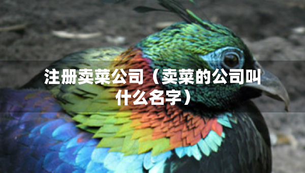 注冊賣菜公司（賣菜的公司叫什么名字）