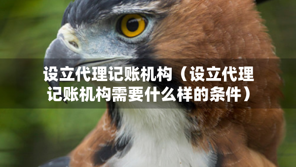 設(shè)立代理記賬機構(gòu)（設(shè)立代理記賬機構(gòu)需要什么樣的條件）