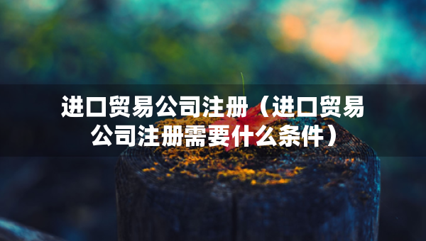 進口貿(mào)易公司注冊（進口貿(mào)易公司注冊需要什么條件）