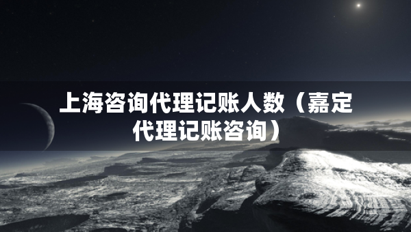 上海咨詢代理記賬人數(shù)（嘉定代理記賬咨詢）