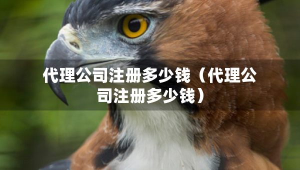 代理公司注冊(cè)多少錢(qián)（代理公司注冊(cè)多少錢(qián)）