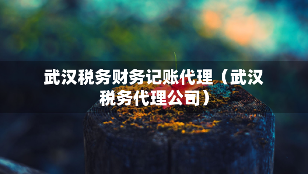 武漢稅務(wù)財務(wù)記賬代理（武漢稅務(wù)代理公司）
