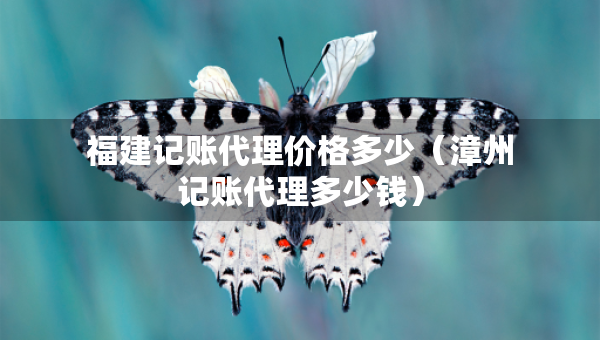福建記賬代理價格多少（漳州記賬代理多少錢）