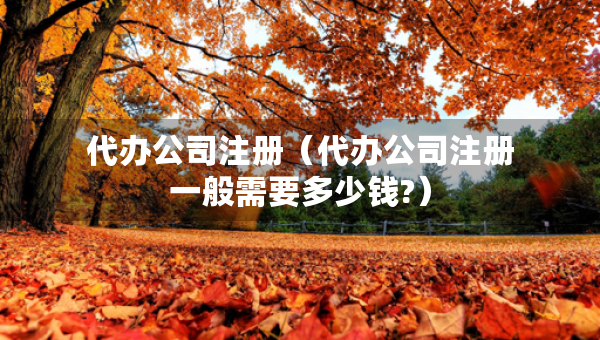 代辦公司注冊（代辦公司注冊一般需要多少錢?）