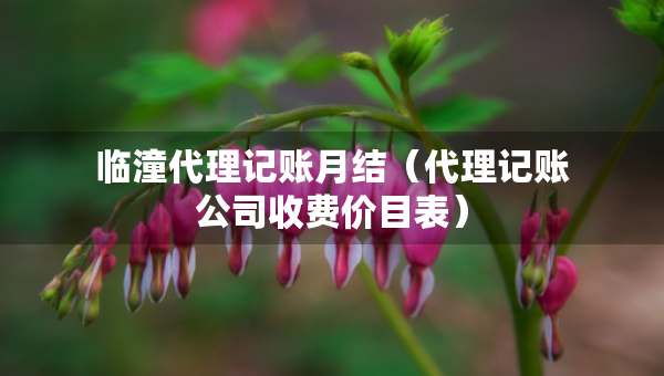 臨潼代理記賬月結(jié)（代理記賬公司收費(fèi)價(jià)目表）