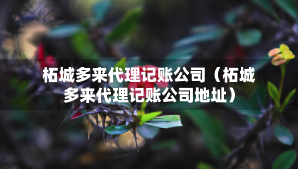 柘城多來代理記賬公司（柘城多來代理記賬公司地址）