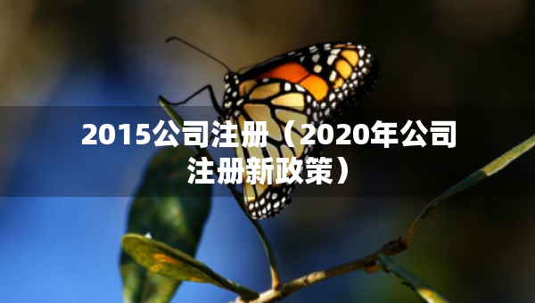 2015公司注冊（2020年公司注冊新政策）
