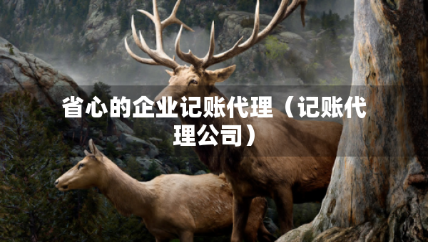 省心的企業(yè)記賬代理（記賬代理公司）