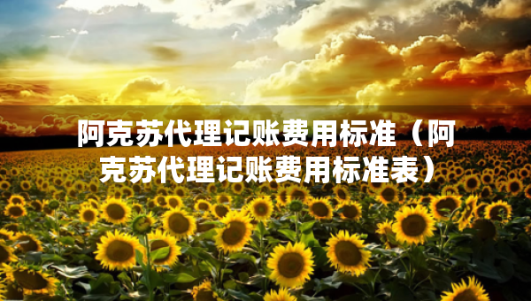 阿克蘇代理記賬費用標準（阿克蘇代理記賬費用標準表）