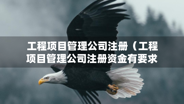 工程項(xiàng)目管理公司注冊(cè)（工程項(xiàng)目管理公司注冊(cè)資金有要求嗎）