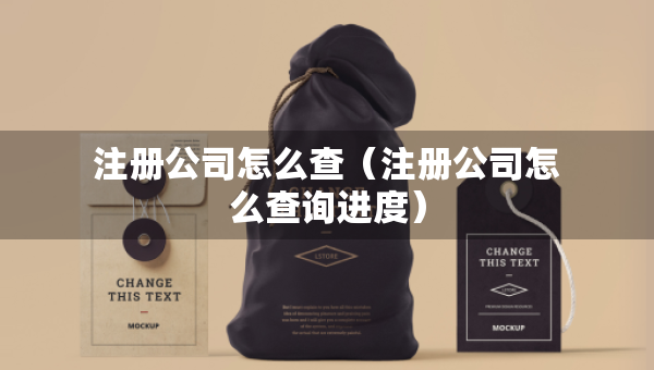 注冊公司怎么查（注冊公司怎么查詢進(jìn)度）