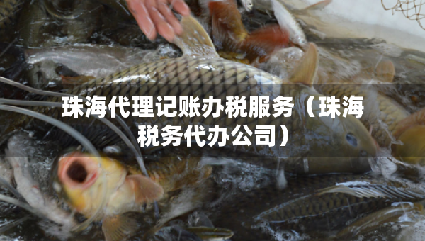 珠海代理記賬辦稅服務(wù)（珠海稅務(wù)代辦公司）