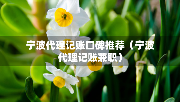 寧波代理記賬口碑推薦（寧波代理記賬兼職）