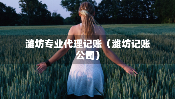 濰坊專業(yè)代理記賬（濰坊記賬公司）