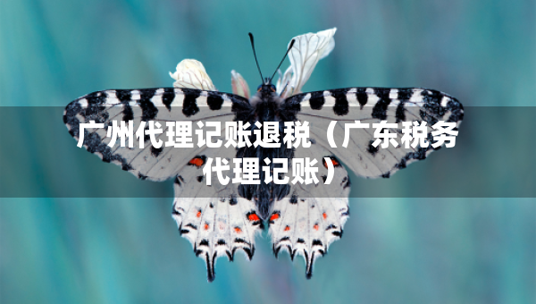 廣州代理記賬退稅（廣東稅務代理記賬）