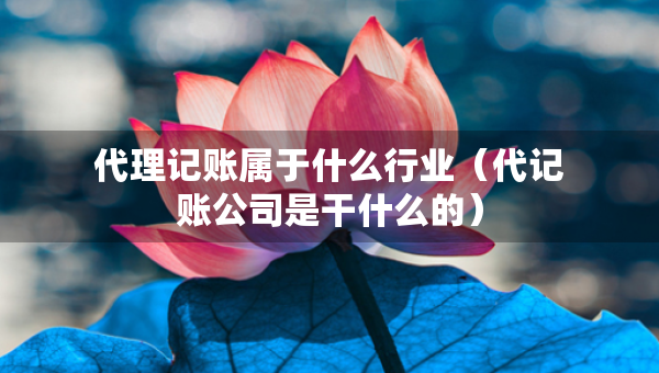 代理記賬屬于什么行業(yè)（代記賬公司是干什么的）