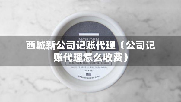 西城新公司記賬代理（公司記賬代理怎么收費(fèi)）