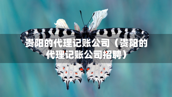 貴陽的代理記賬公司（貴陽的代理記賬公司招聘）