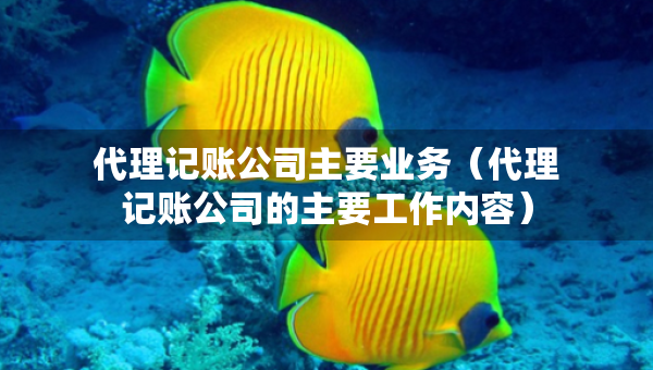 代理記賬公司主要業(yè)務(wù)（代理記賬公司的主要工作內(nèi)容）