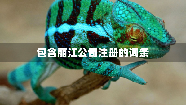 包含麗江公司注冊的詞條