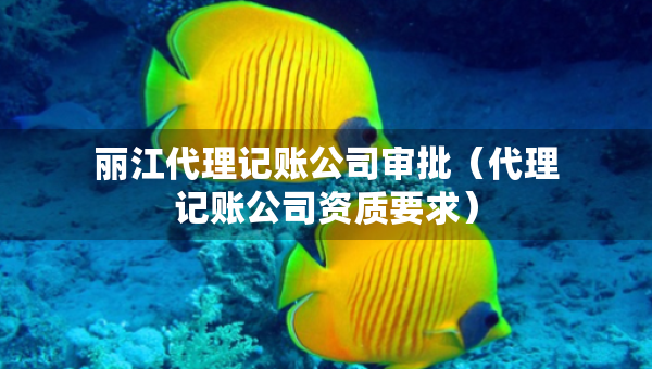 麗江代理記賬公司審批（代理記賬公司資質(zhì)要求）