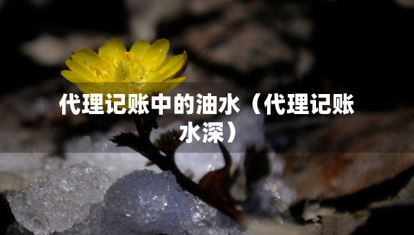 代理記賬中的油水（代理記賬水深）