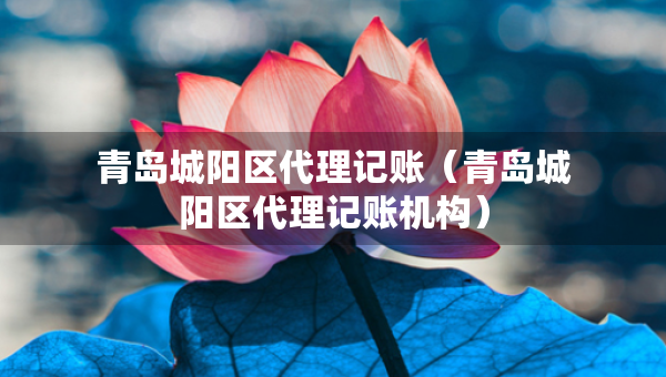 青島城陽區(qū)代理記賬（青島城陽區(qū)代理記賬機(jī)構(gòu)）