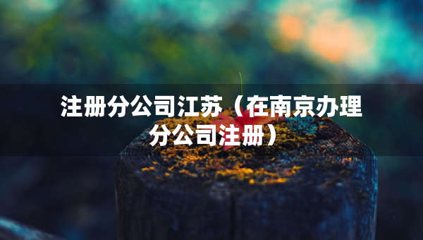 注冊分公司江蘇（在南京辦理分公司注冊）
