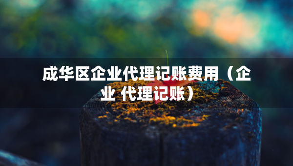 成華區(qū)企業(yè)代理記賬費用（企業(yè) 代理記賬）