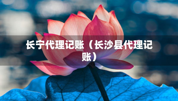 長寧代理記賬（長沙縣代理記賬）