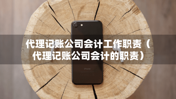 代理記賬公司會計工作職責（代理記賬公司會計的職責）