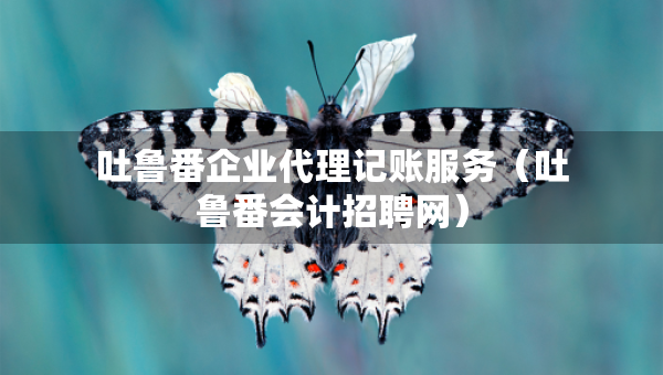 吐魯番企業(yè)代理記賬服務（吐魯番會計招聘網(wǎng)）
