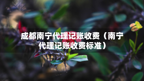 成都南寧代理記賬收費（南寧代理記賬收費標準）