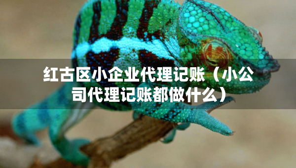 紅古區(qū)小企業(yè)代理記賬（小公司代理記賬都做什么）