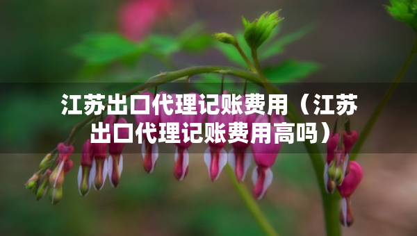 江蘇出口代理記賬費用（江蘇出口代理記賬費用高嗎）