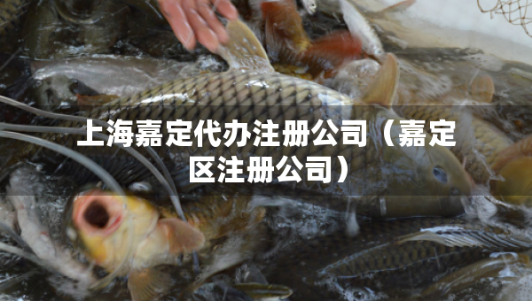 上海嘉定代辦注冊公司（嘉定區(qū)注冊公司）