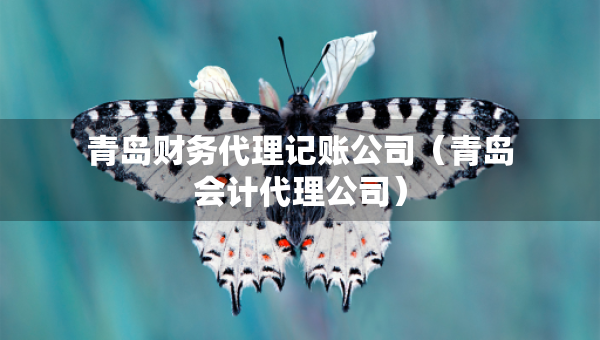青島財(cái)務(wù)代理記賬公司（青島會(huì)計(jì)代理公司）