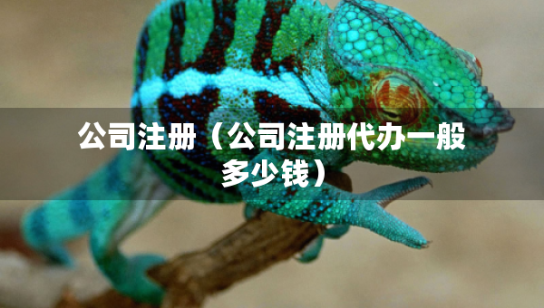 公司注冊(cè)（公司注冊(cè)代辦一般多少錢）