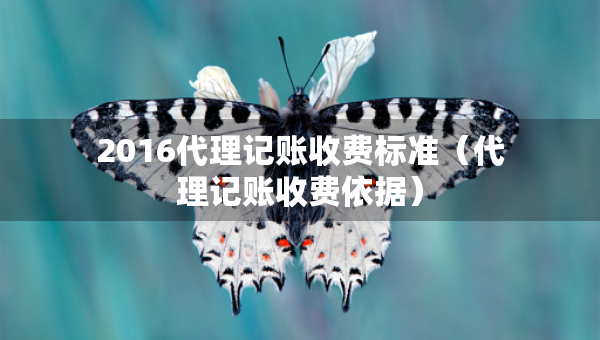 2016代理記賬收費標準（代理記賬收費依據(jù)）