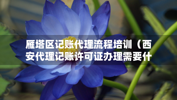 雁塔區(qū)記賬代理流程培訓（西安代理記賬許可證辦理需要什么條件）