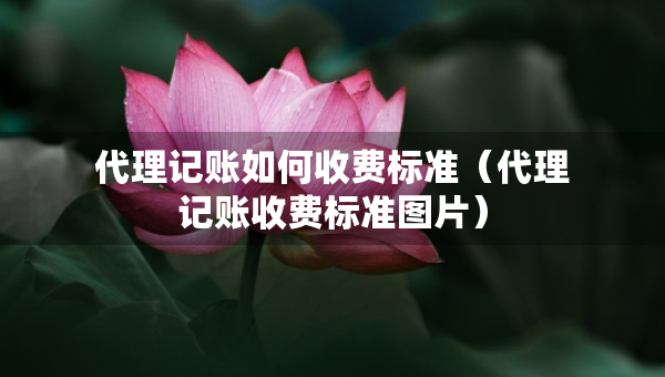 代理記賬如何收費標準（代理記賬收費標準圖片）