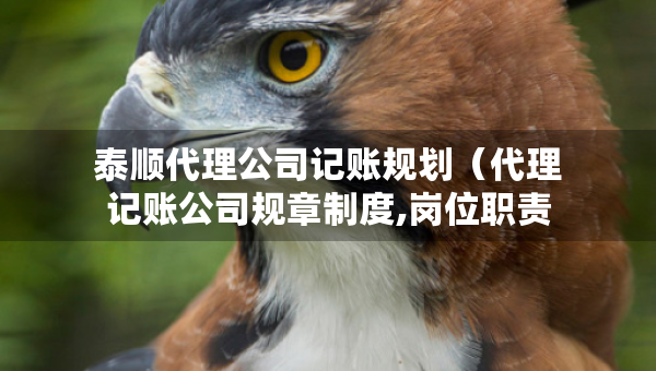 泰順代理公司記賬規(guī)劃（代理記賬公司規(guī)章制度,崗位職責(zé)）
