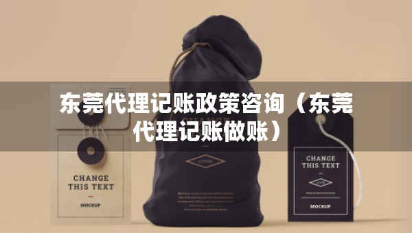 東莞代理記賬政策咨詢（東莞代理記賬做賬）